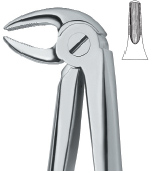 Lower Premolars Tooth Ext Forceps