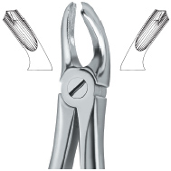 Upper Molars Either Side Tooth Ext Forceps