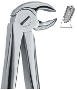 Lower Molars right Tooth Ext Forceps