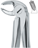 Lower Molars Left Tooth Ext Forceps