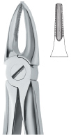 Upper Roots & Incisors Tooth Ext Forceps