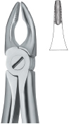 Incisors & Bicuspids Tooth Ext Forceps