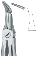 Lower Roots Tooth Ext Forceps