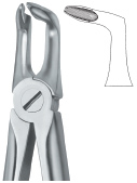 Lower Roots Tooth Ext Forceps