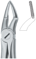 Upper  Roots Tooth Ext Forceps