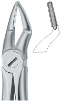 Upper Roots Tooth Ext Forceps