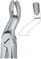 Upper third Molars & Upper Wisdoms either side Tooth Ext Forceps