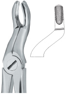 Upper third Molars & Upper Wisdoms either side Tooth Ext Forceps