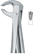 Lower Molars Tooth Ext Forceps