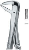 Incisors And Bicuspids Tooth Ext Forceps