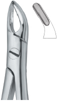 Upper Roots Tooth Ext Forceps