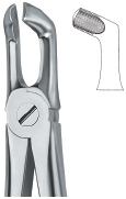 Lower third Molars Tooth Ext Forceps