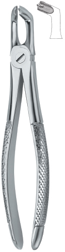 Lower third Molars & Lower Wisdoms either side Tooth Ext Forceps