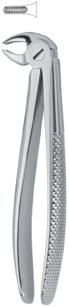 Tooth Ext Forceps