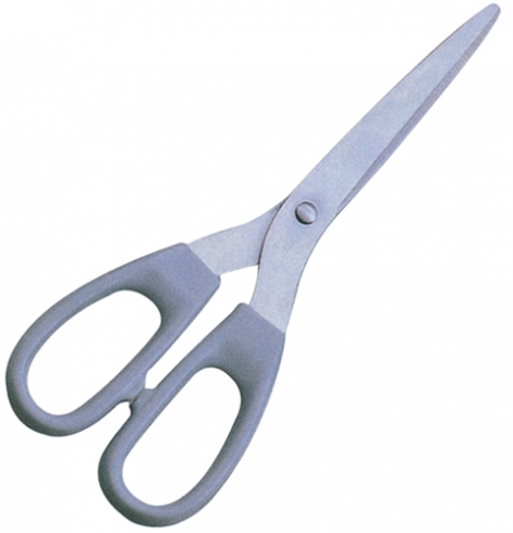 Plastic Handle Scissors